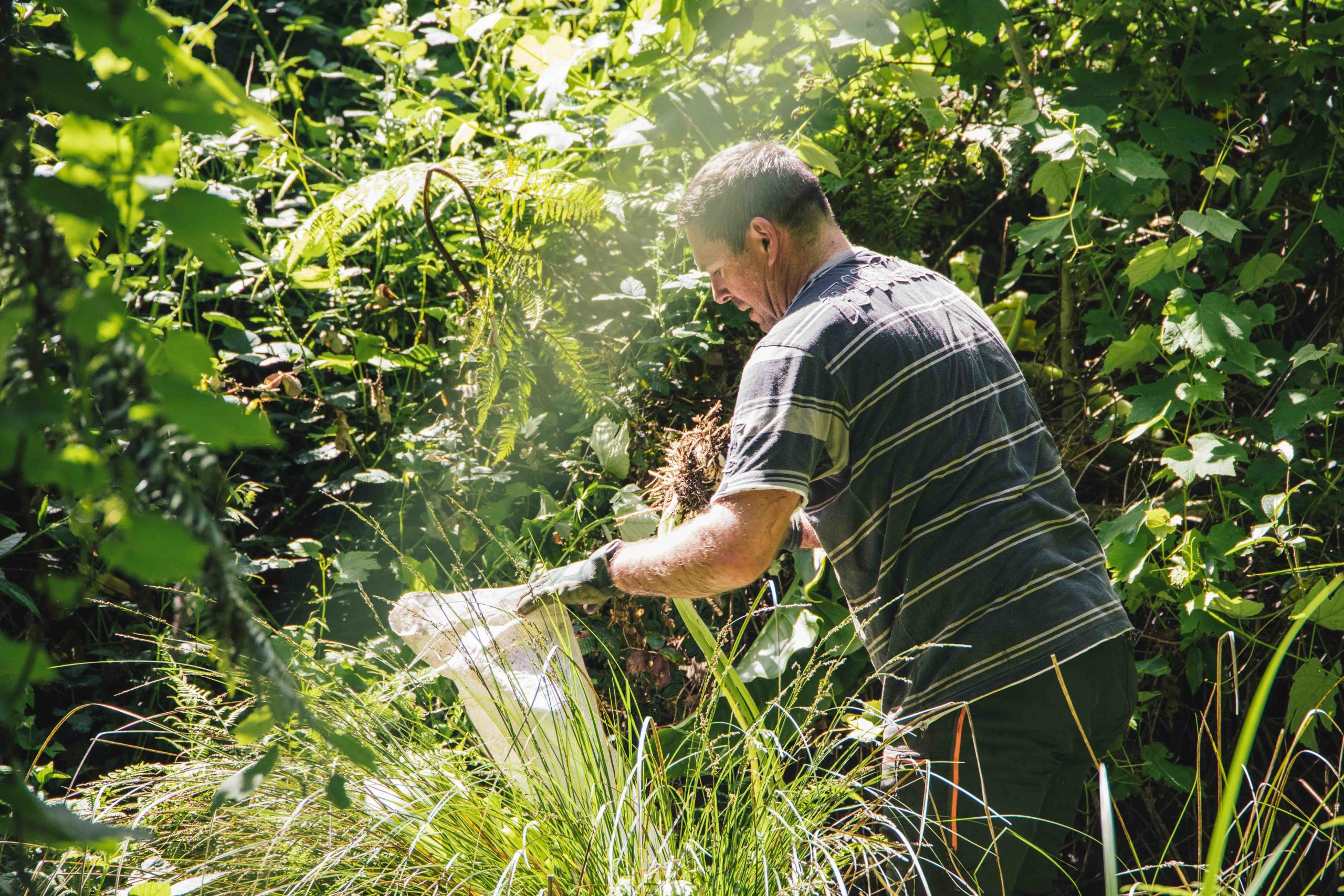 Person weeding in the bush.