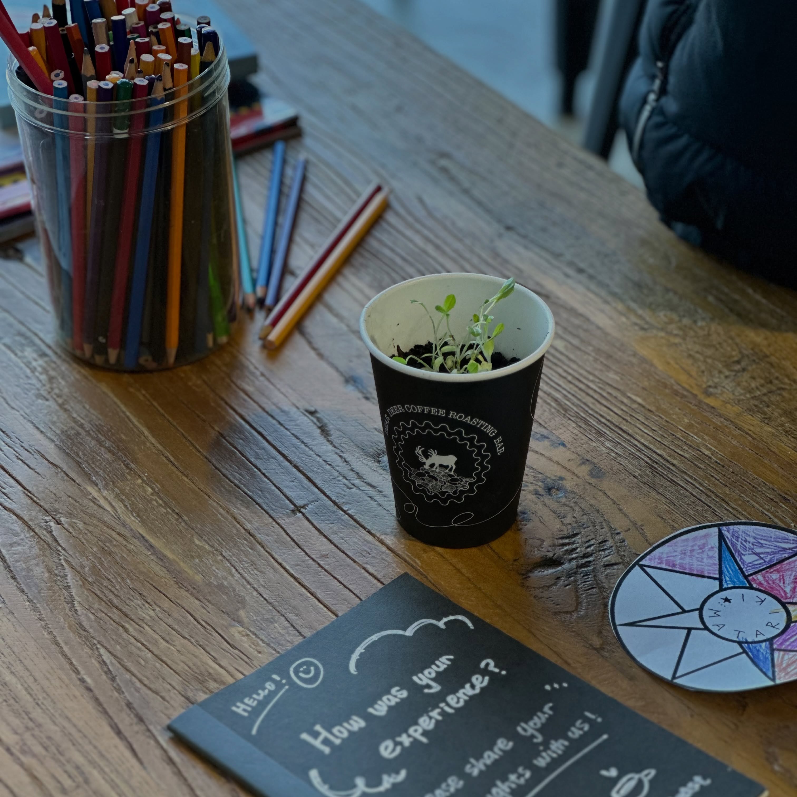 ✨ Thank you to everyone who stopped by our Matariki Community Workshop today. 💚

We’re so grateful to be part of such a beautiful community here in West Auckland.

The idea behind this workshop was simple - we wanted to create a space where people could connect over a cup of coffee while learning about sustainability, creativity, and caring for our community.

A huge thank you to @ecomatters, Amanda @thecompostcollective for hosting such an inspiring hands-on workshop and sharing their knowledge of composting, soil, and growing food. We hope the experience encourages the next generation to care for our environment and appreciate the sustainable cycle of nature.

Thank you also to @ecowarepackaging for generously supporting us with your compostable cups. Your commitment to a circular economy made this workshop possible and helped us learn more about practical sustainability.

To @opua.collective, thank you for bringing creativity and wellbeing into the workshop through your beautiful Matariki art activities, resources, and preparation. Your passion for building community through art is truly inspiring.

And finally, thank you to everyone who continues to support @dear_deer_crb_westcoast. Every visit, every conversation, and every cup of coffee helps us create a stronger, more connected community.

🌱 The self-guided workshop will continue until Sunday 12 July, from 10am–12pm

I (Rin) will be on site throughout the workshop, and I’d love to see you there. Come along, make a planter, create a Matariki star, and celebrate our community together.

#Matariki #CommunityWorkshop #coffee #auckland #newzealand 

📍Dear Deer Coffee Roasting Bar West Coast